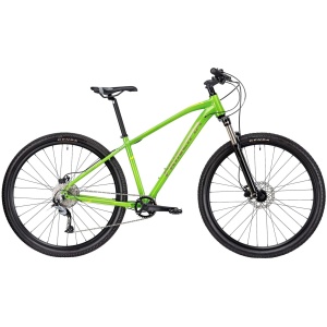 29" Principia A4.9 Blank Lime