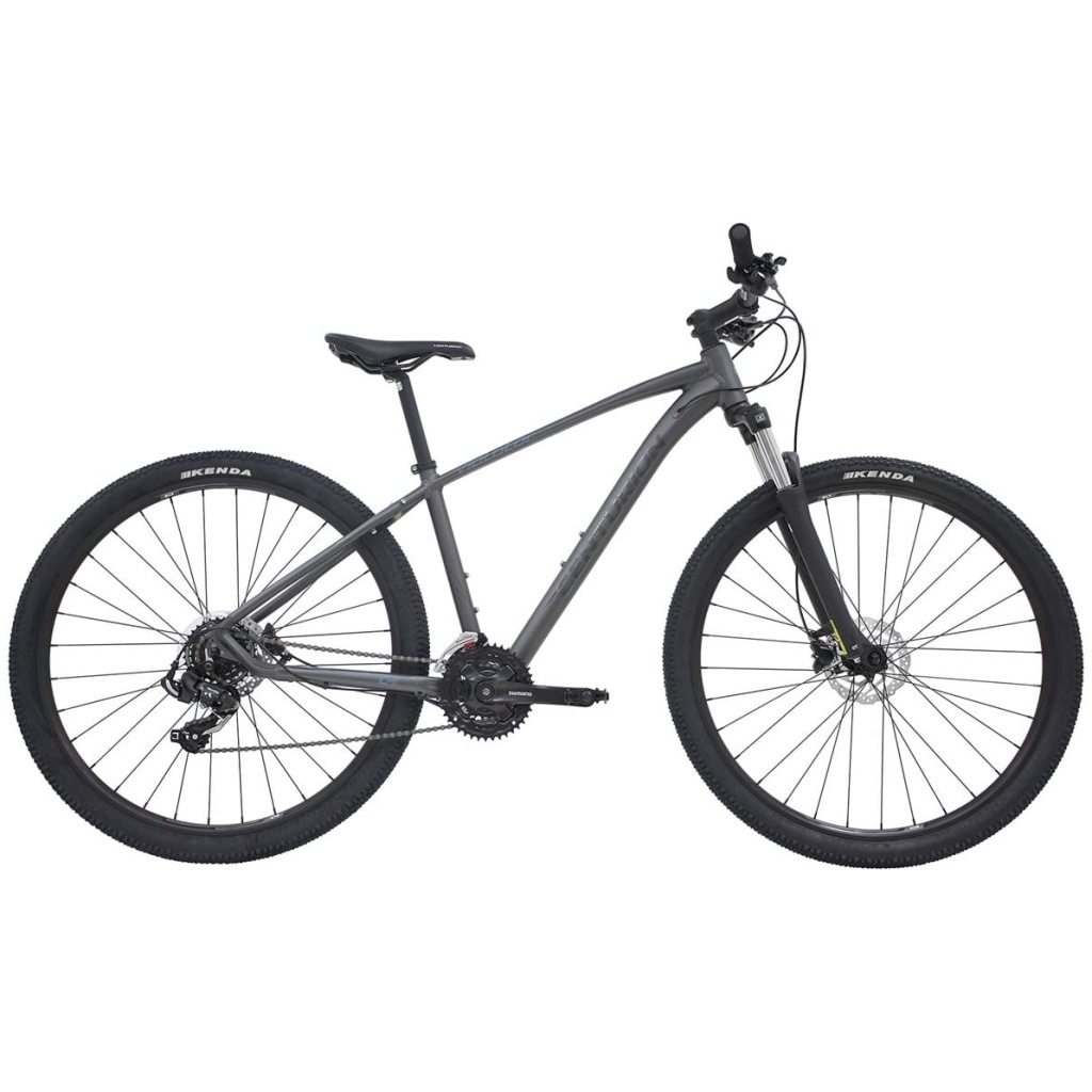 29" Centurion Violator Mat grå MTB