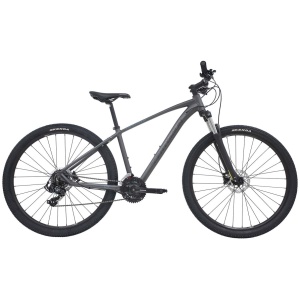 29" Centurion Violator Mat grå MTB
