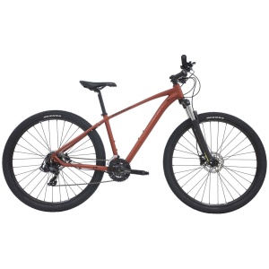 29" Centurion Violator Kobber