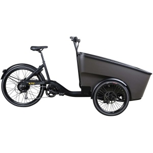 Centurion E Street EL-ladcykel 1